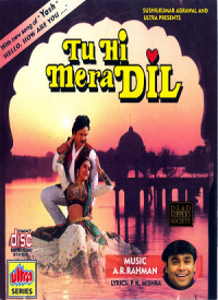 Tu Hi Mera Dil (1996) Songs Lyrics