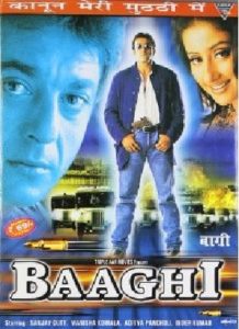 Baaghi (2000)