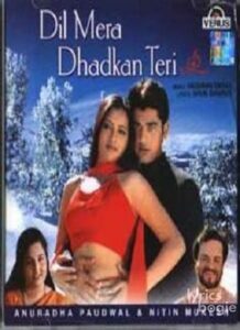 Dil Mera Dhadkan Teri (2002)