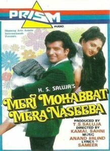 Meri Mohabbat Mera Naseeba (1995)
