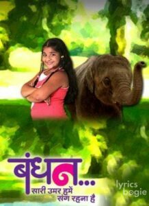 Bandhan: Saari Umar Humein Sang Rehna Hai (2014)