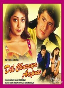 Dil Churaya Aapne (2001)