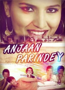 Anjaan Parindey (2015)