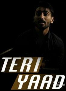 Teri Yaad Teri Yaad (2015)