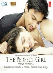 The Perfect Girl (2015)