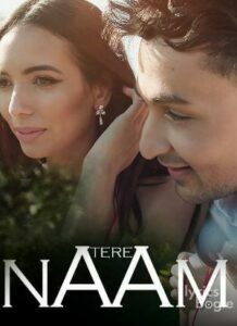 Tere Naam (2016)