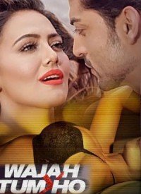 Wajah Tum Ho (2016) Songs Lyrics