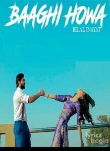 Baaghi Howa (2017)