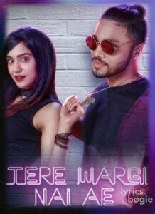 Tere Wargi Nai Ae (2017)