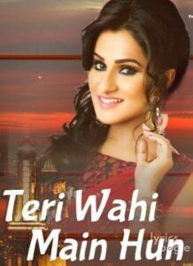 Teri Wahi Main Hun (2017)