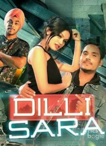 Dilli Sara (2017)