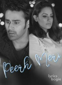 Peerh Meri (2019)