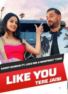 Like U: Tere Jaisi (2019)