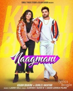 Naagmani (2019)