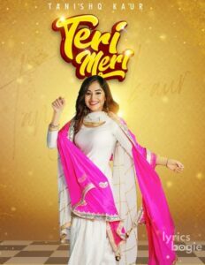 Teri Meri (2019)