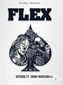 Flex (2020)