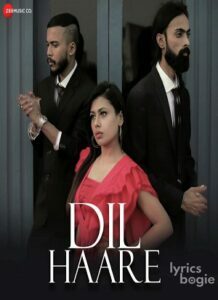 Dil Haare