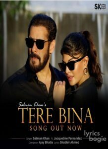 Tere Bina