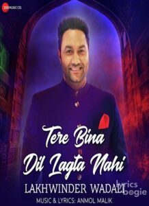 Tere Bina Dil Lagta Nahi